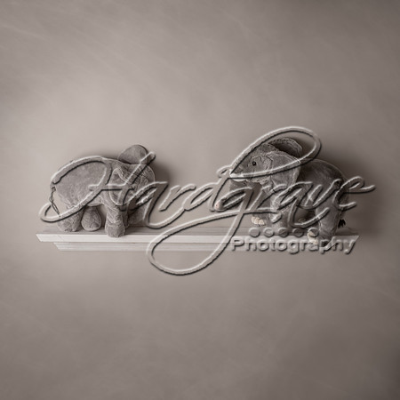 Elephant Shelf Backdrop - Brooke Mendenhall Photography
