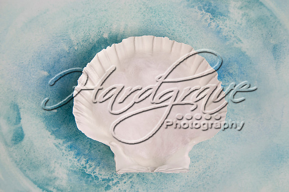ErinMichelleShop SeashellWatercolorBlue