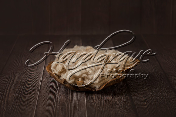 ErinMichelleShop WoodBackdrop