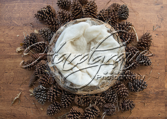 ETSYNewborndigitalbackdropphotographypropatalieHoulding