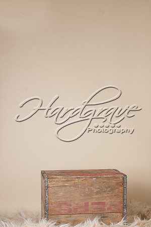freebie-friday-simplythisphotography