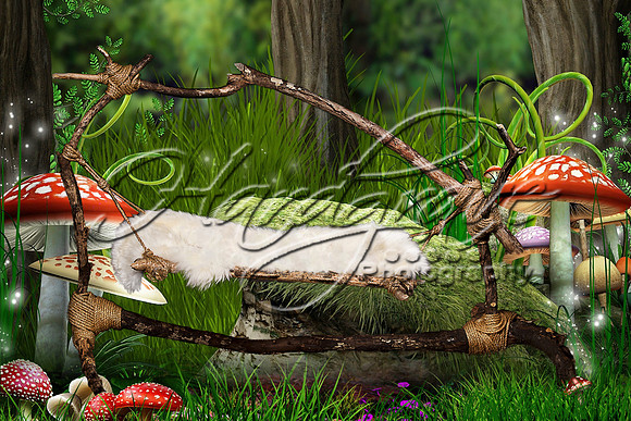 Hammock161408