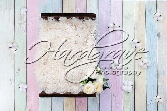 HappyPaintingCraftNewBornDigitalBackground44
