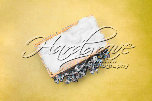 HappyPaintingCraftNewBornDigitalBackground119