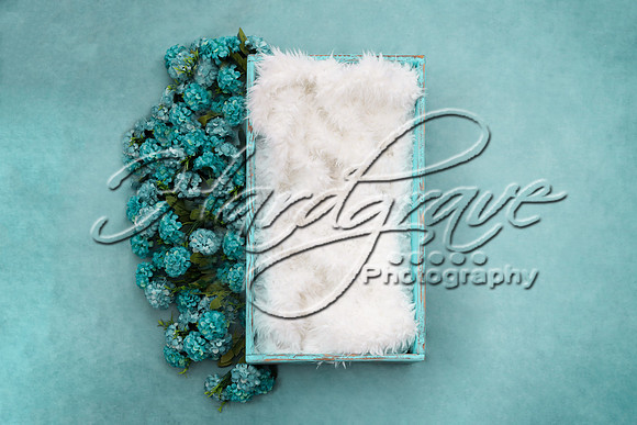 HappyPaintingCraftNewBornDigitalBackground121