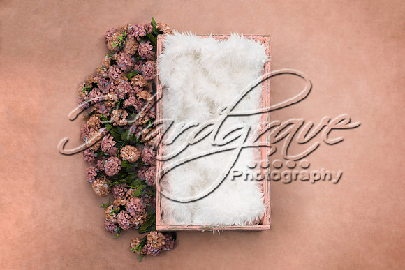HappyPaintingCraftNewBornDigitalBackground122