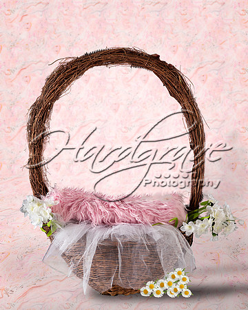 hp basket 114