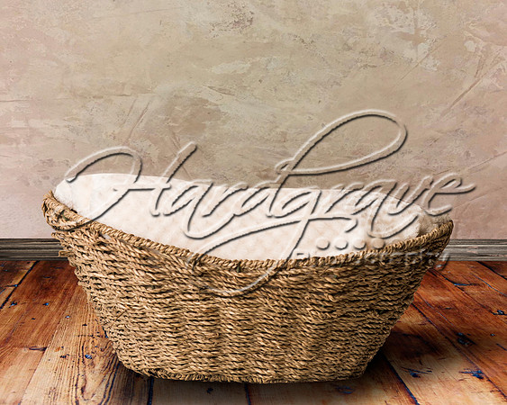 hp basket 119