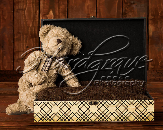 HP Teddy Box 01