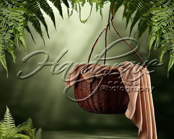 HPAI water basket brown 1