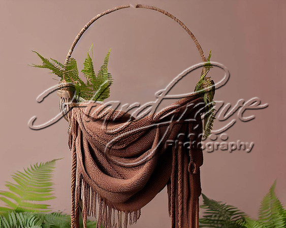 HPAI water basket brown 2