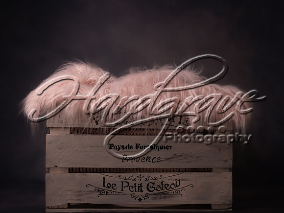 JacquiMPhotography cratewithfur