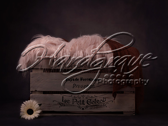 JacquiMPhotography cratewithfurflowersandwrap