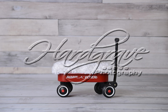 Jennifer Seward radio flyer composite