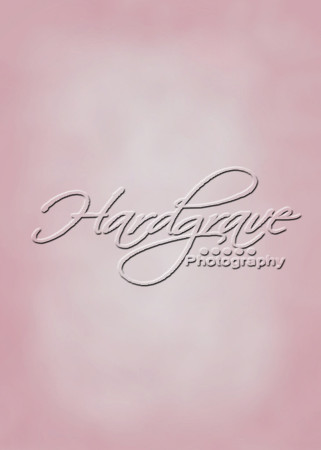 LDBPinkBackdrop