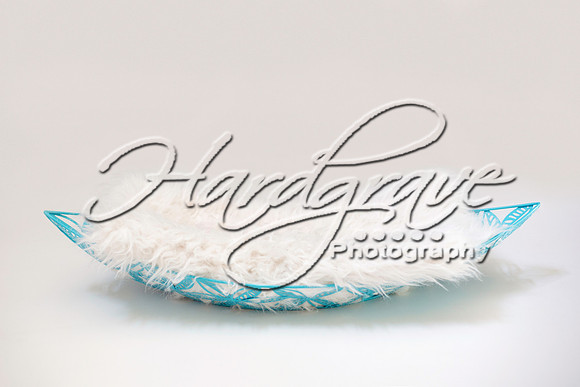 LeDigitalBackdrops LDBTurquoiseLeafBasket