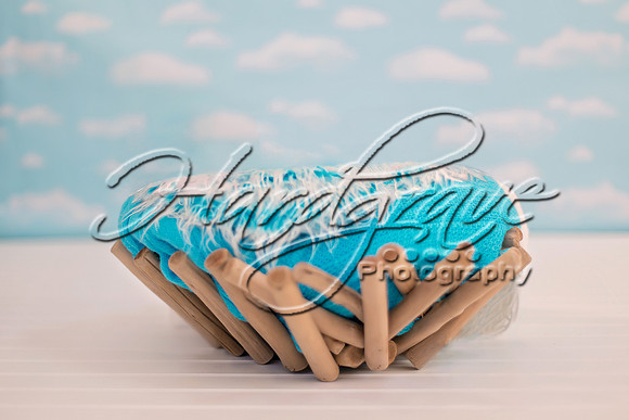 LeDigitalBackdrops SDBDriftwood