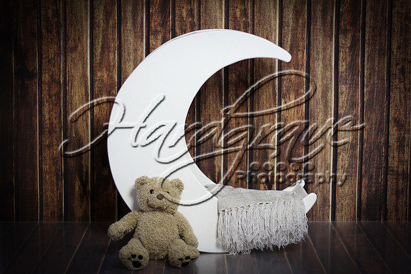 LittleDarlingsOfMine-moon