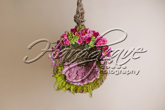 littlepose_summer_hanging_basket