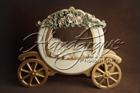 LittlePosecarriage_floral_cream