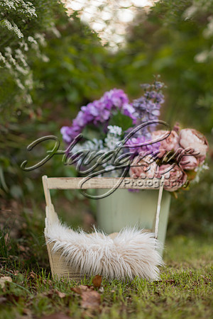 Liz Wood Photography - newborn basket outside
