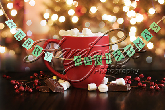 merrychristmascocoa