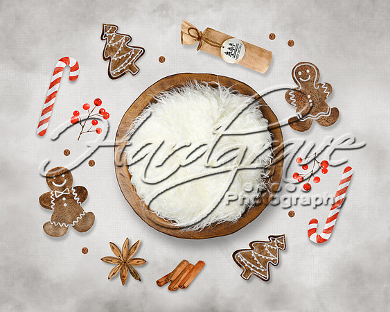 NewbornBackdrop-ChristmasSweets