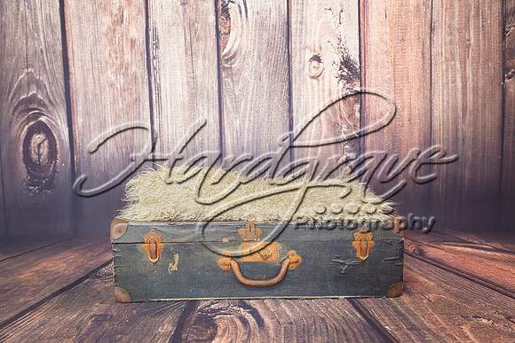 Noore_MG_7352