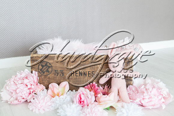 NoorePhotography_MG_7416
