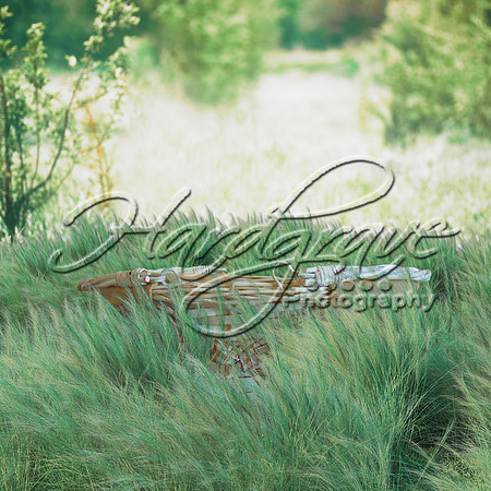 PawsUpDigitals 14