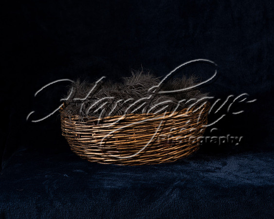Project_Peterman Baskets 0002