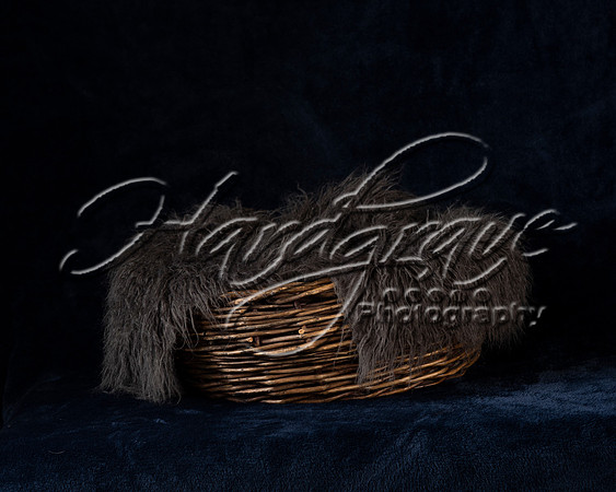 Project_Peterman Baskets 0003