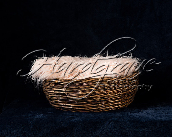 Project_Peterman Baskets 0004