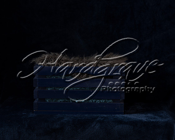 Project_Peterman Baskets 0006