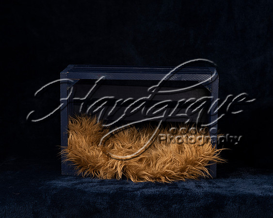 Project_Peterman Baskets 0007