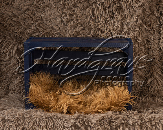 Project_Peterman Baskets 0008