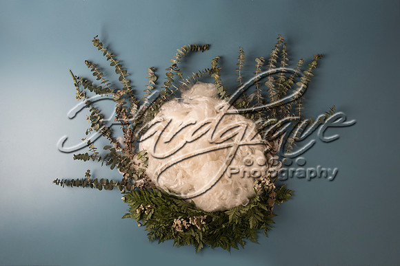 AkLoveArt Backdrop (3)