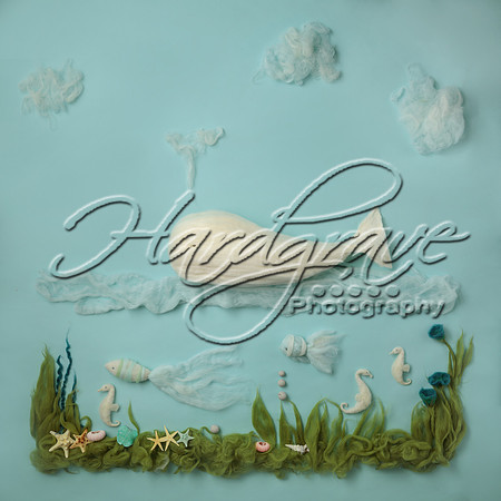 AkLoveArt Backdrop (2)