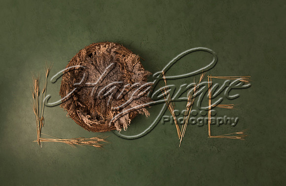 AkLoveArt Backdrop (4)