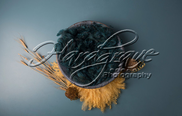 AkLoveArt Backdrop (5)