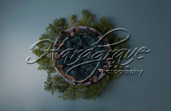 AkLoveArt Backdrop (6)