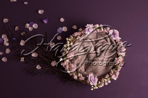 AkLoveArt Backdrop (7)