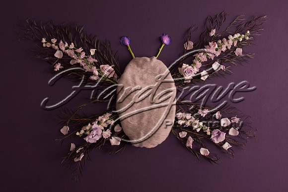 AkLoveArt Backdrop (8)
