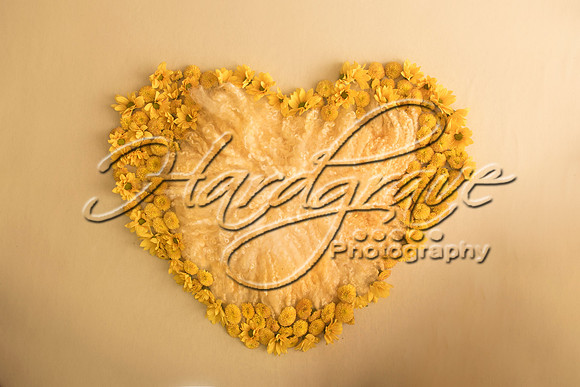AkLoveArt Backdrop (9)