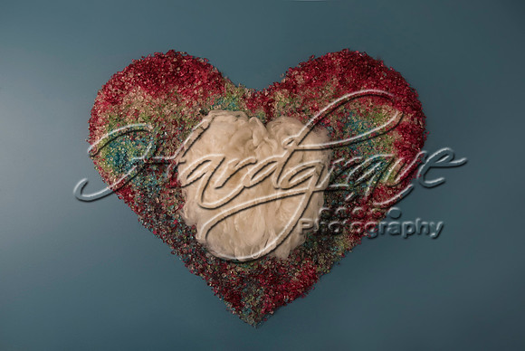 AkLoveArt Backdrop (12)