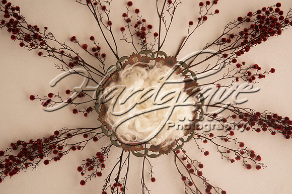 AkLoveArt Backdrop (10)