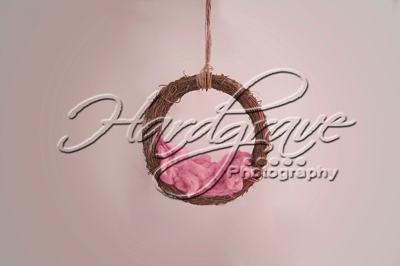 AkLoveArt Backdrop (14)