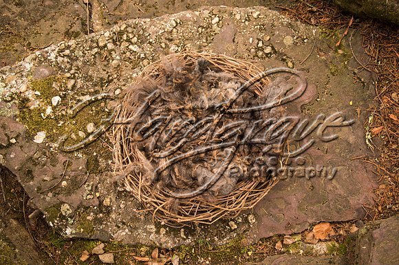 AkLoveArt Backdrop (15)