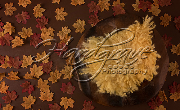 AkLoveArt Backdrop (16)