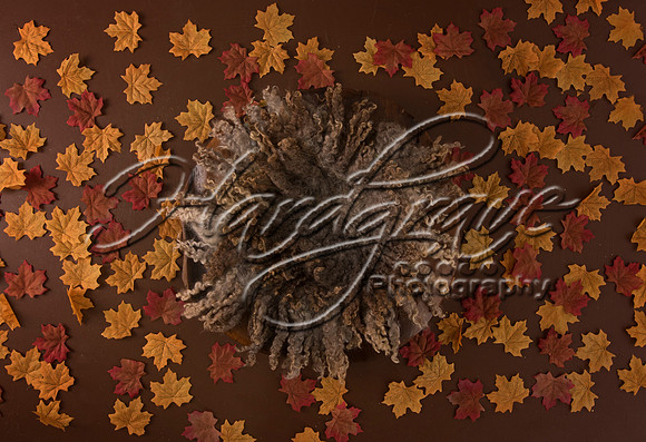 AkLoveArt Backdrop (17)
